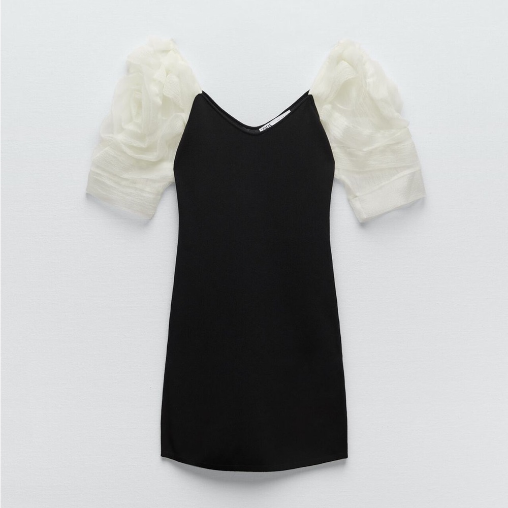 Zara mini rose sleeve dress NWT